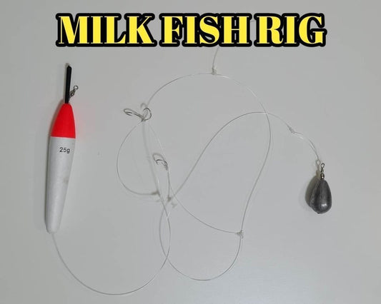 MILK FISH (BANGUS) RIG SETUP for Bait and Wait Fishing